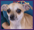 Chiquita 