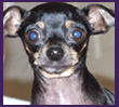 Libby