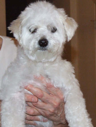 Samson