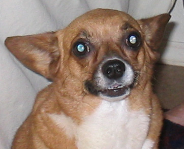 Segundo