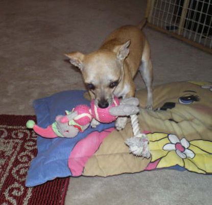 Chiquita