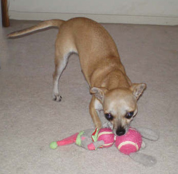 Chiquita