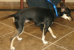 Winslow
