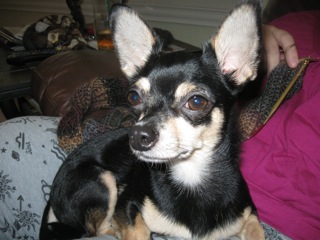 Eddie