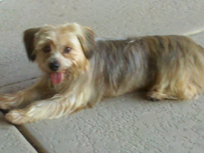 Markie