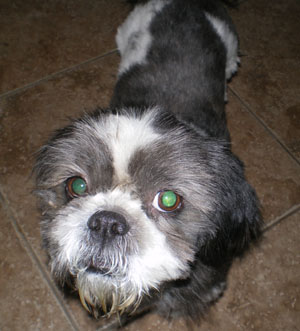 Macgregor
