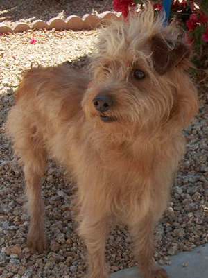 Duncan