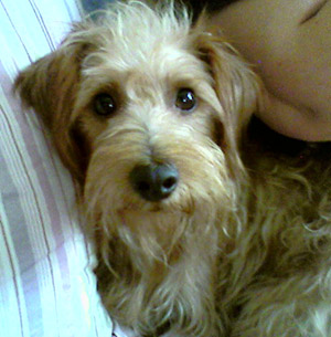 Duncan