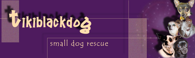 tikiblackdog.org