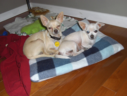 Jonboy and Otis