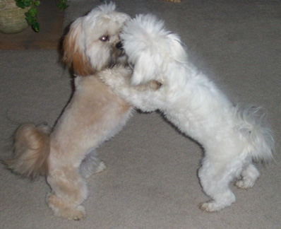 Angie and Chandler