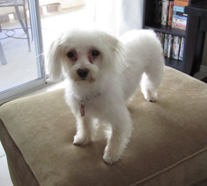  Lorilei now Bailey