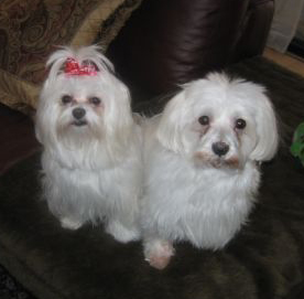 Bella and Alex