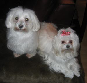 Bella And Alex