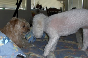 Chloe and Cricket