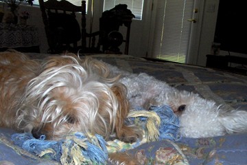 Chloe and Cricket