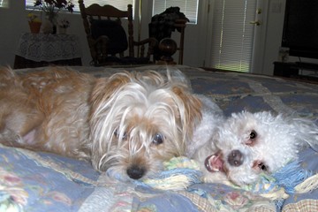 Chloe and Cricket