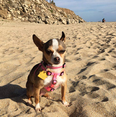 Chloe