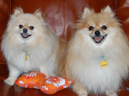 Lily and Diva