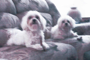 Kelsey and Avery