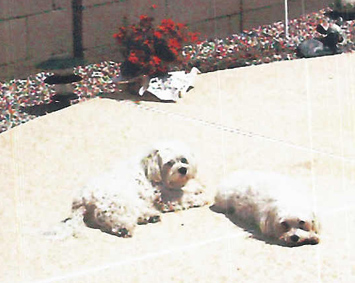 Kelsey and Avery