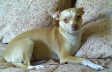 Lilly