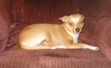 Lilly