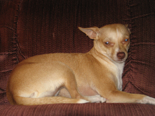 Lilly