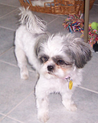 Liza