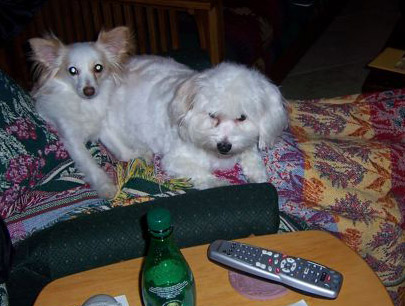 Luci and Rufus
