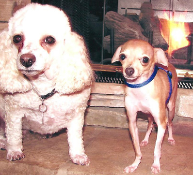 Munch and Carley
