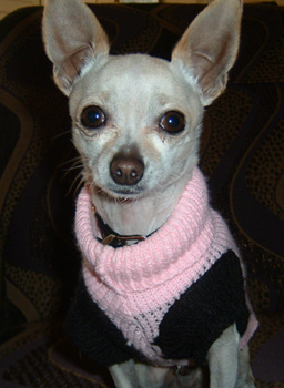 Pinky