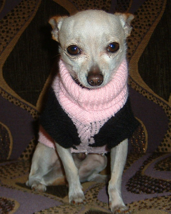 Pinky