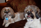 Sophie - on Right