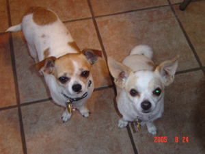 Sophie and Skittles
