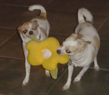 Sophie and Skittles