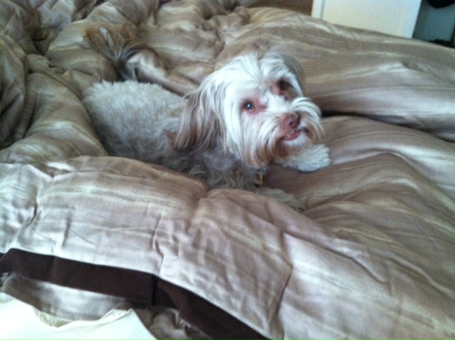 Tilly