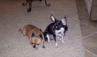 Brandi and Tutu