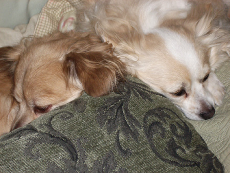 Sleeping