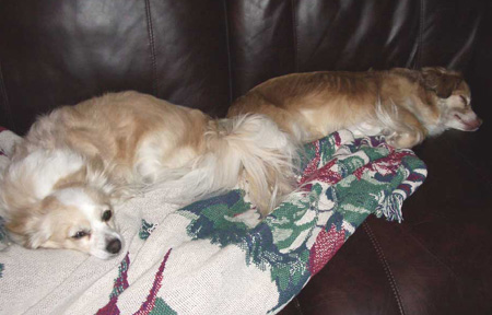 Resting