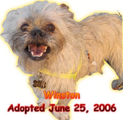 Winston