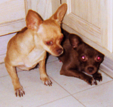 Rhett and Scarlett
