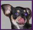 Lilly Pippie-Marie