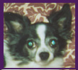Mickey