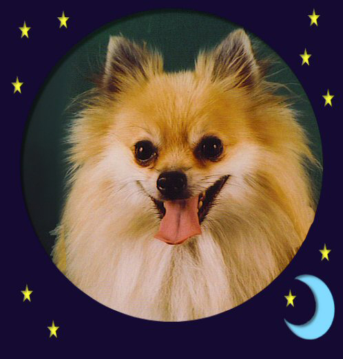 Chloe