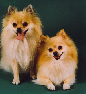 Breezie and Chloe