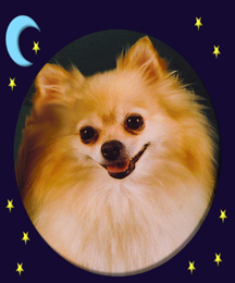 Chloe