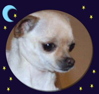 Cleo