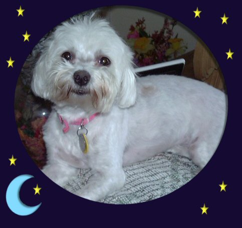 Missy