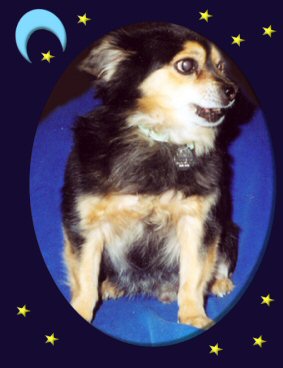 Pepi